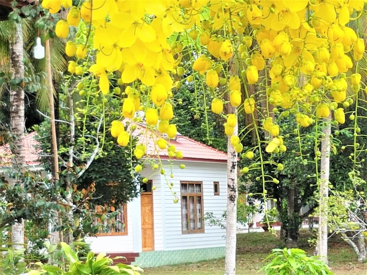 Tang Thanh Phat Resort Phu Quoc Dış mekan fotoğraf